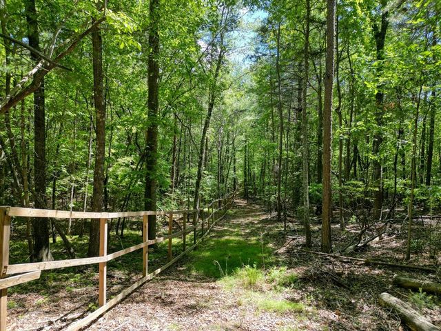 357 Nottely Woods Road E, Blairsville, GA 30512