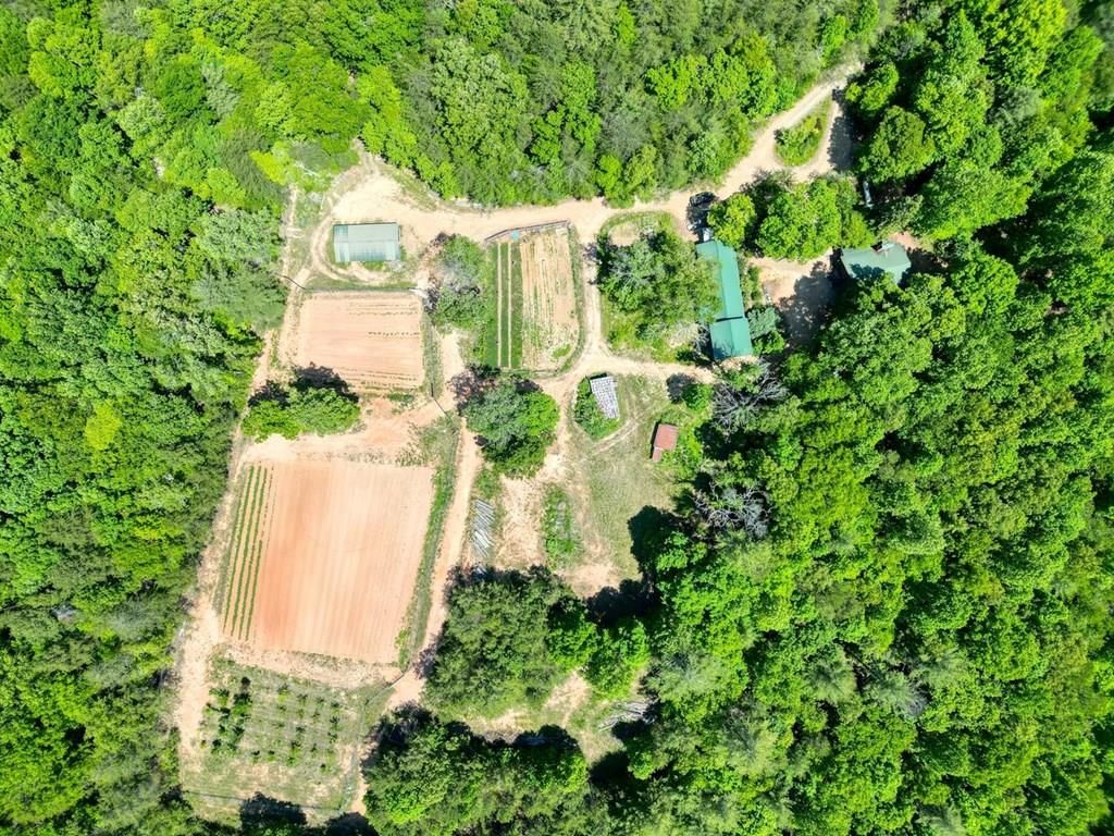 357 Nottely Woods Road E, Blairsville, GA 30512