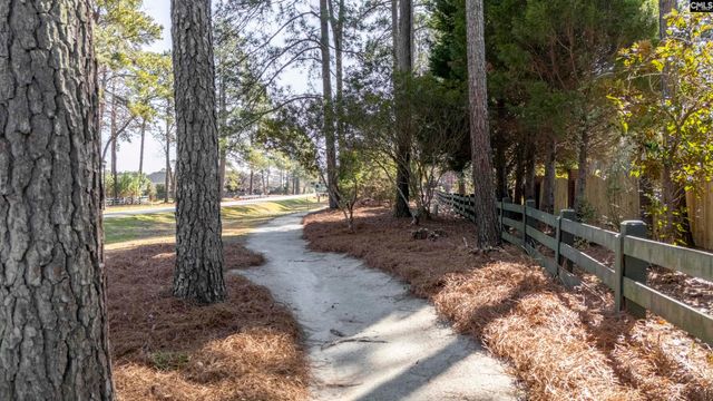 174 Backspin Drive, Elgin, SC 29045