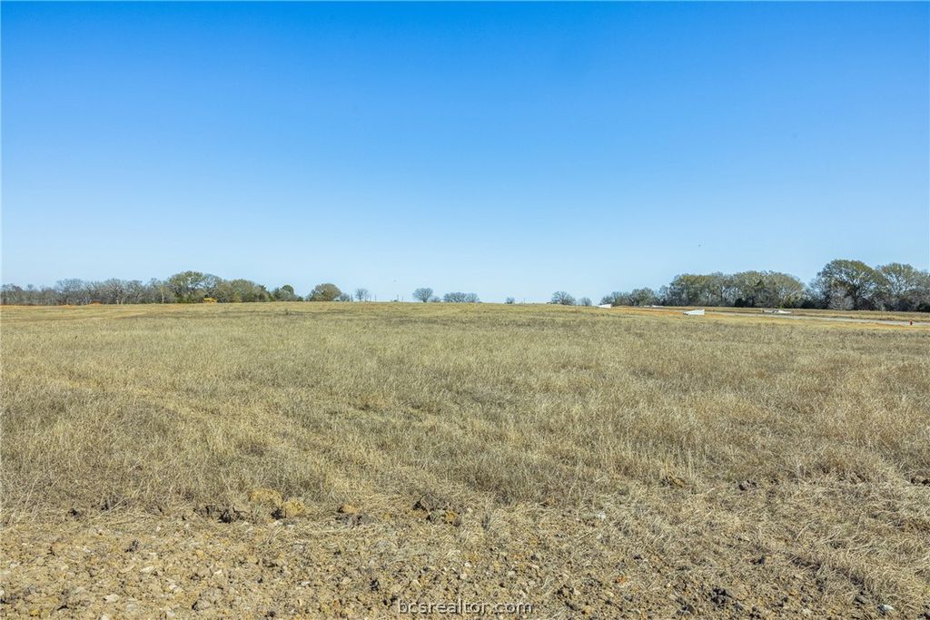 115 Pueblo Drive, Caldwell, TX 77836 — photo 5
