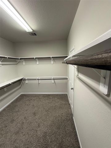 2826 Saw Palmetto Trail, Katy, TX 77493