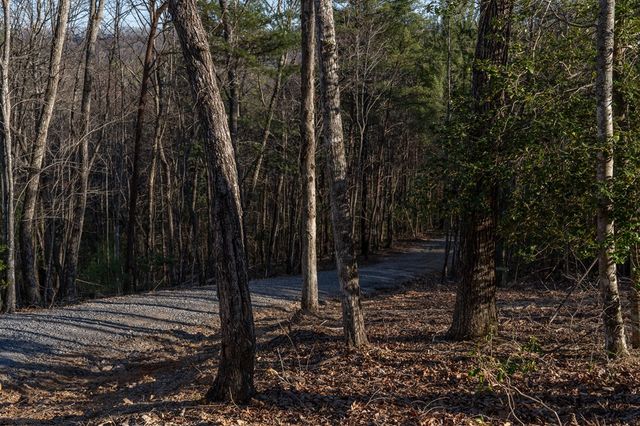 802 Mull Valley Road, Morganton, GA 30560