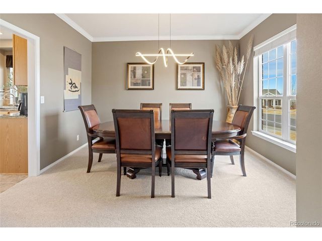 1164 Hondo Ct, Castle Rock, CO 80104