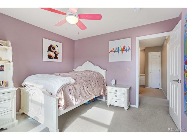 1164 Hondo Ct, Castle Rock, CO 80104