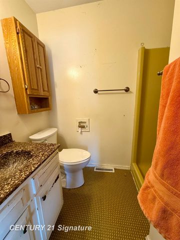 1697 Thunderbird Drive, Thomas Twp, MI 48609