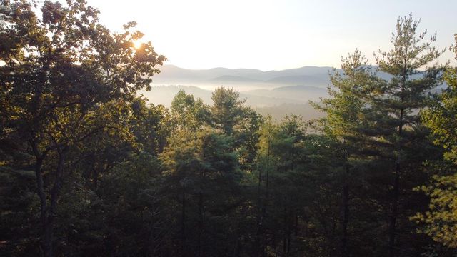 Lot 11 Self Mountain Road, Blairsville, GA 30512