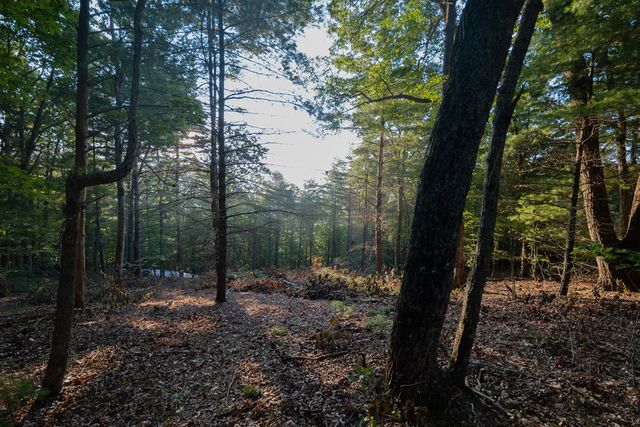 Lot 11 Self Mountain Road, Blairsville, GA 30512