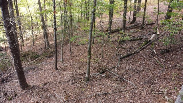 Lot 11 Self Mountain Road, Blairsville, GA 30512