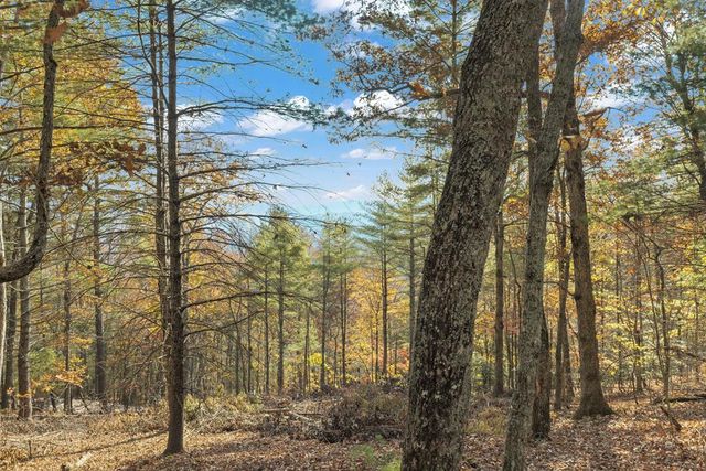 Lot 11 Self Mountain Road, Blairsville, GA 30512