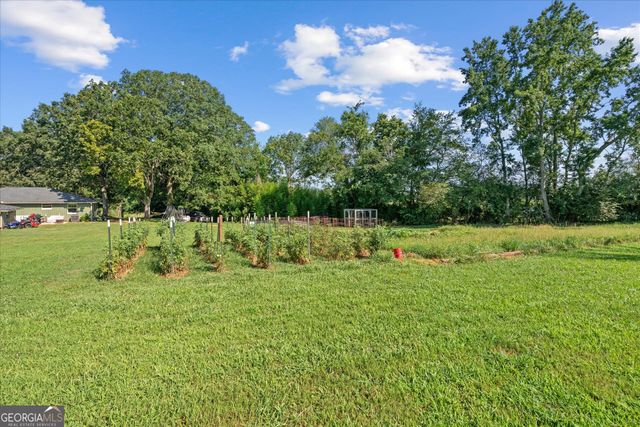 1184 Tyus Veal Road, Bowdon, GA 30108