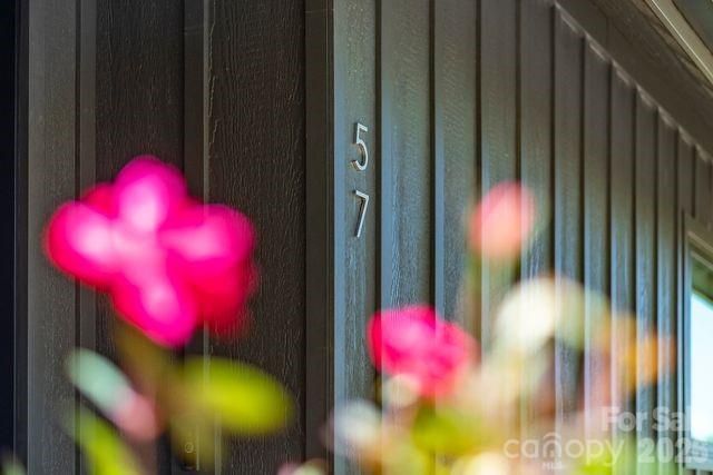 57 Mezzo Cove, Asheville, NC 28804