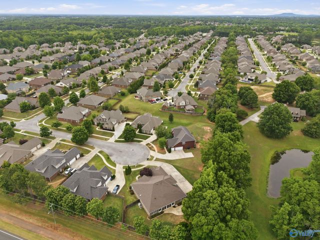 112 Mill Walk Court, Madison, AL 35758