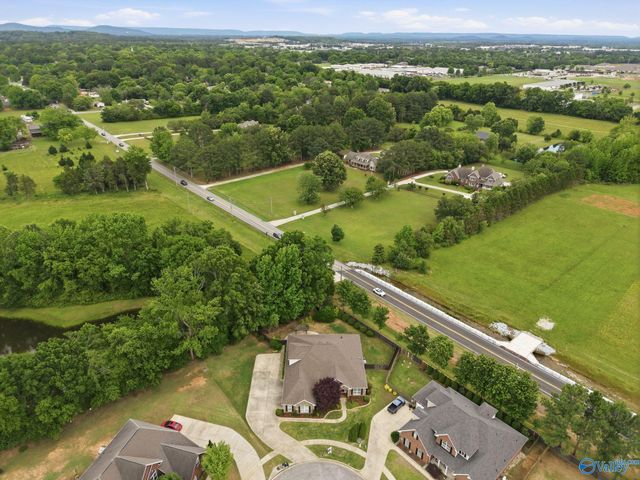 112 Mill Walk Court, Madison, AL 35758