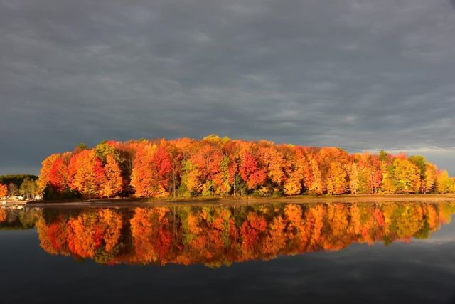 9561 Peterson Drive Lot: 6, Cadillac, MI 49601