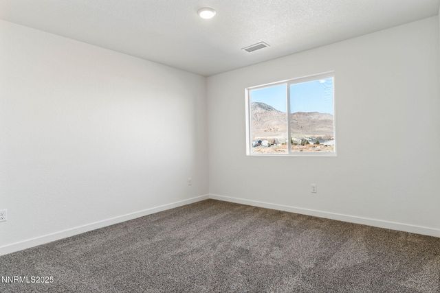 343 Halite Drive, Dayton, NV 89403