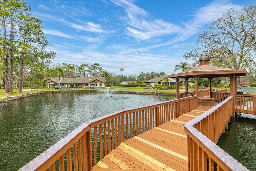 Image 29 of property listing at 7703 ROCKVILLE COURT, New Port Richey, FL 34654