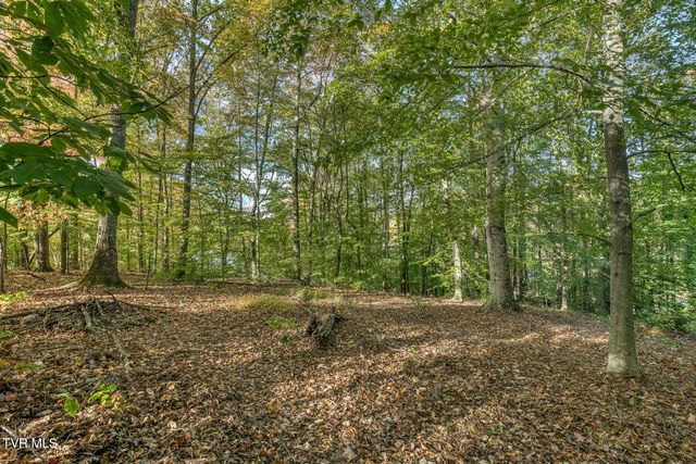 329 Chestnut Grove Church Road, Jonesborough, TN 37659