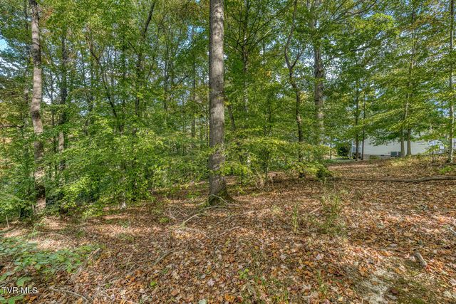 329 Chestnut Grove Church Road, Jonesborough, TN 37659