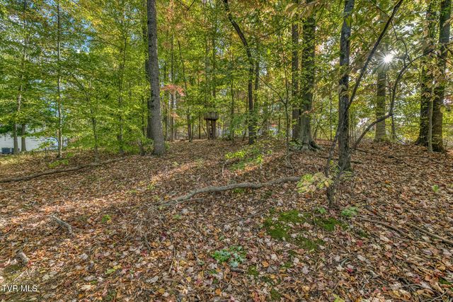 329 Chestnut Grove Church Road, Jonesborough, TN 37659