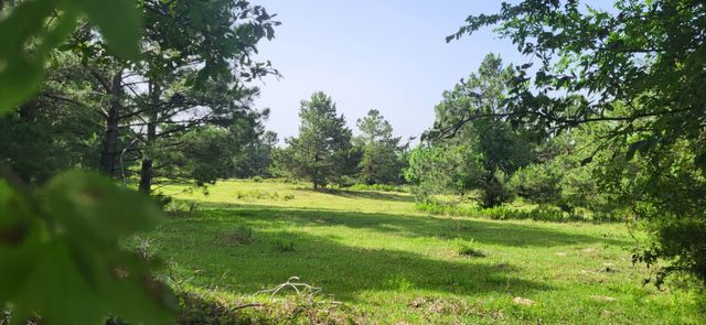 TBD CR 1176, Sulphur Springs, TX 75482