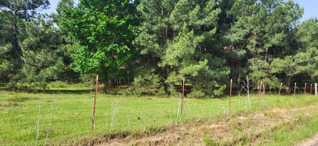 TBD CR 1176, Sulphur Springs, TX 75482