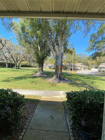 1059 DUNROBIN DRIVE B, Palm Harbor, FL 34684