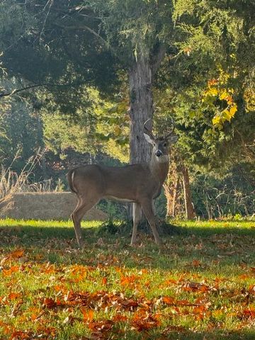 5736 S Foxboro Trail, Springfield, MO 65804