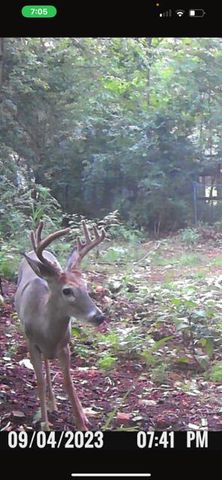 5736 S Foxboro Trail, Springfield, MO 65804