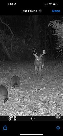 5736 S Foxboro Trail, Springfield, MO 65804