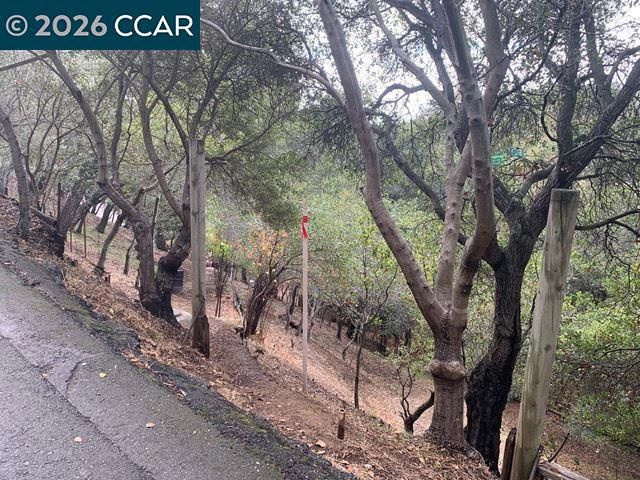 Mountain View Ave, Oakland, CA 94605