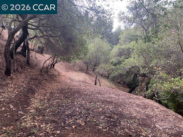 Mountain View Ave, Oakland, CA 94605