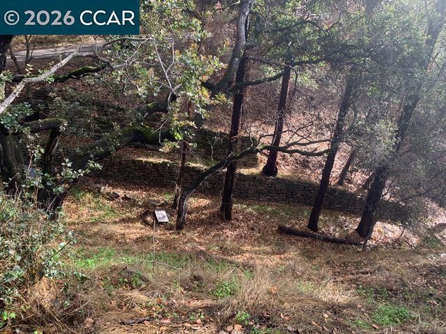 Mountain View Ave, Oakland, CA 94605
