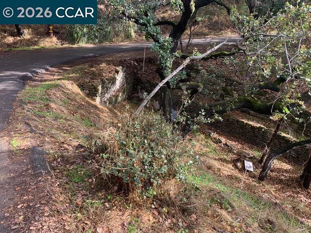 Mountain View Ave, Oakland, CA 94605