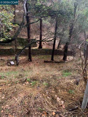 Mountain View Ave, Oakland, CA 94605