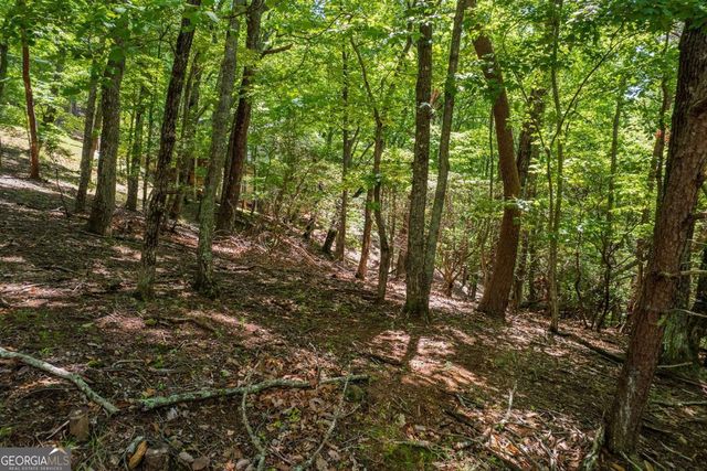 9806 Fairway Drive, Jasper, GA 30143