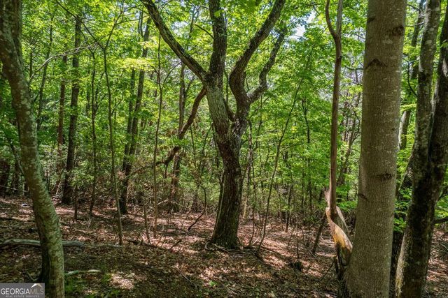 9806 Fairway Drive, Jasper, GA 30143