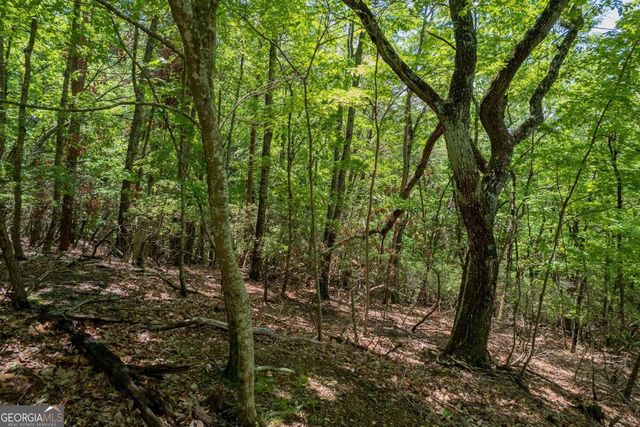 9806 Fairway Drive, Jasper, GA 30143