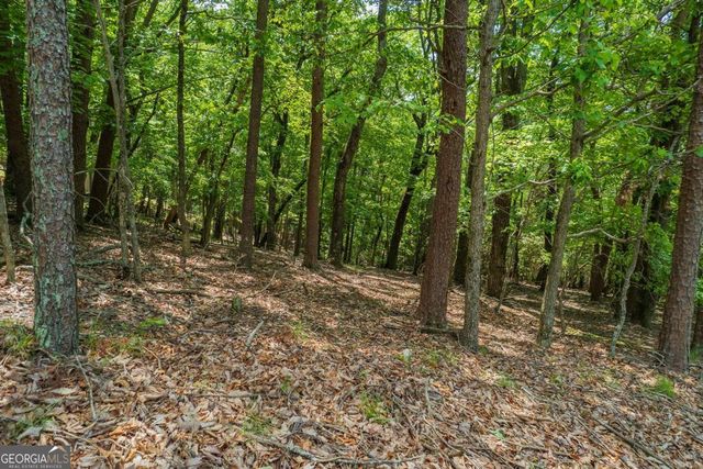 9806 Fairway Drive, Jasper, GA 30143