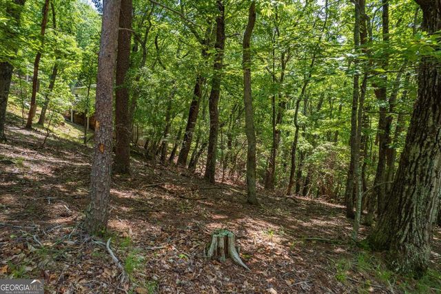 9806 Fairway Drive, Jasper, GA 30143