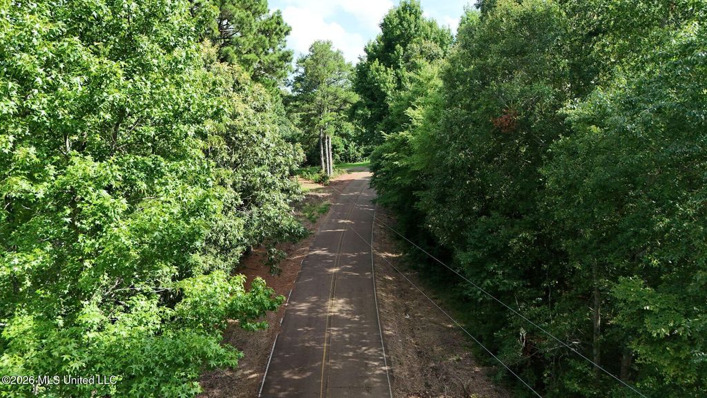 1400 Kelly Crossing Road, Coldwater, MS 38618 — photo 2