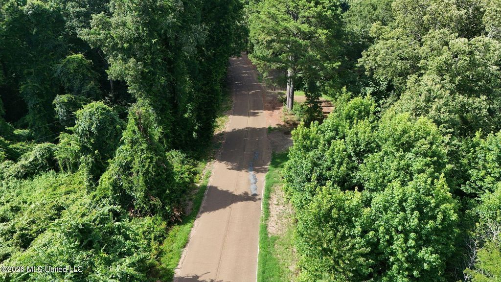 1400 Kelly Crossing Road, Coldwater, MS 38618 — photo 3