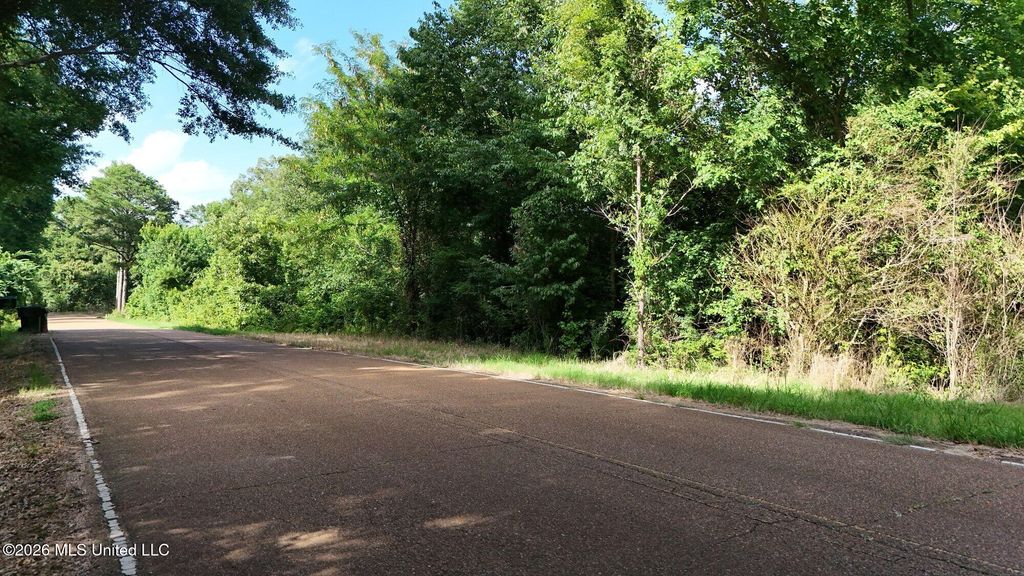 1400 Kelly Crossing Road, Coldwater, MS 38618 — photo 4