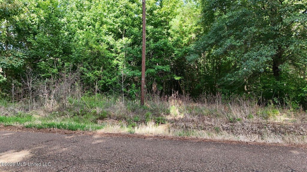 1400 Kelly Crossing Road, Coldwater, MS 38618 — photo 5