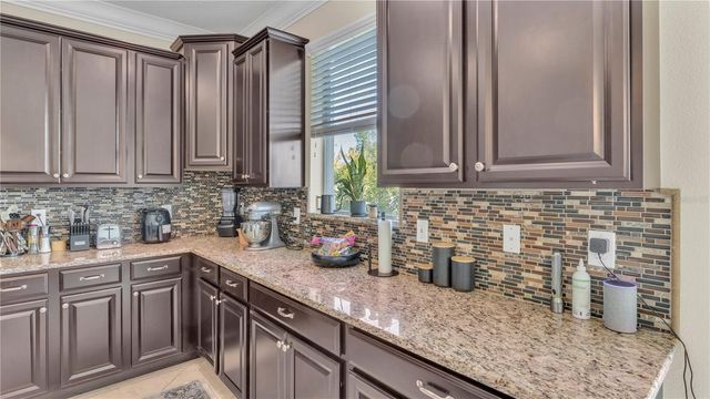 11928 FROST ASTER DRIVE, Riverview, FL 33579