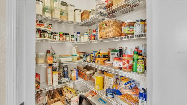 11928 FROST ASTER DRIVE, Riverview, FL 33579