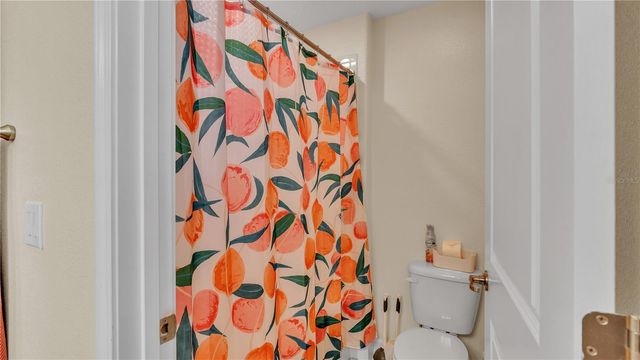 11928 FROST ASTER DRIVE, Riverview, FL 33579