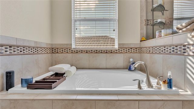 11928 FROST ASTER DRIVE, Riverview, FL 33579