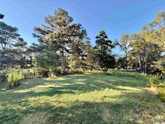 141 Chestnut Street N, Boaz, AL 35956