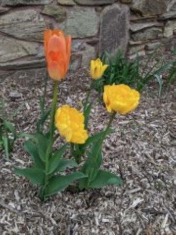 N6439 LAKESHORE DRIVE, Hilbert, WI 54129