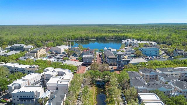 907 PAWSTAND ROAD, Celebration, FL 34747